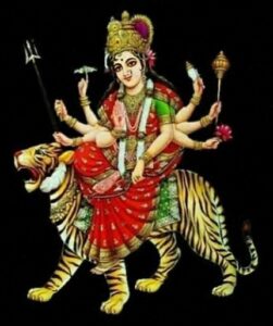 IMG-20241011-WA0009 (1) (1)