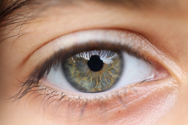 Eye224
