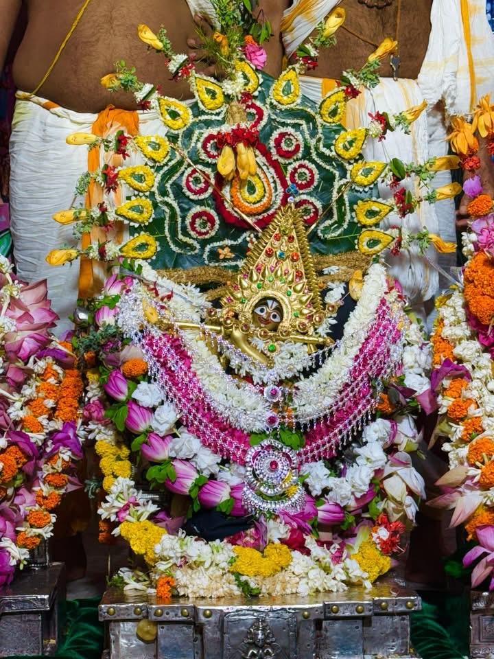 The Priests' Predicament krisna bhagban
