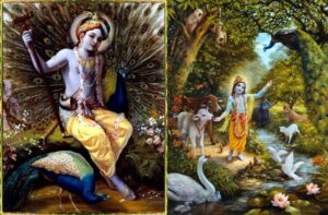 krishna-vrindavan-leelas-radha-raas-leela