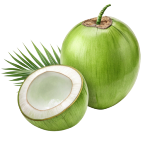 Bacterial contamination