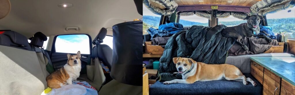 Life on the Road with Bhura