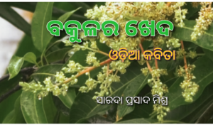 Mango Tree Nostalgia