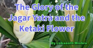 Ketaki Flower