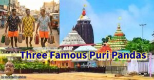 Three Famous Puri Pandas