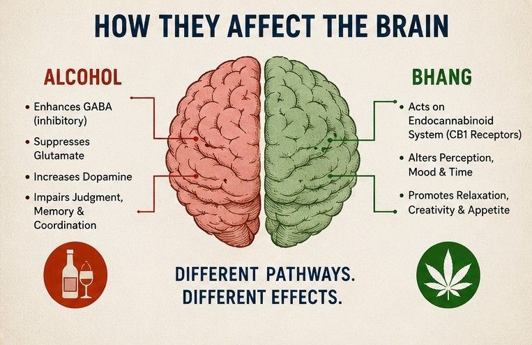 Bhang and Alcohol