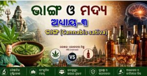 ଭାଙ୍ଗ (Cannabis sativa)