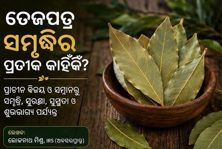 Tej Patra, Bay Laurel,