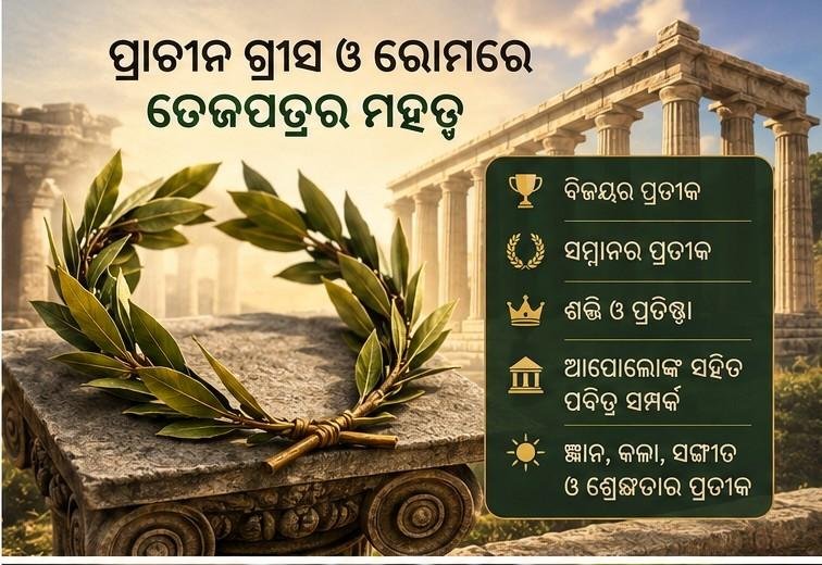 Tej Patra, Bay Laurel,